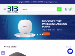 313technology