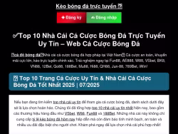 Blackrockconsultpro