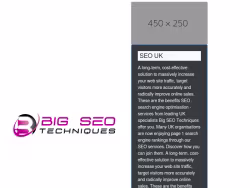 Bigseotechniques