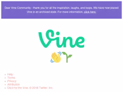 Vine