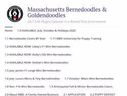 Massdoodles
