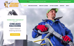 Chicagoracoons