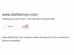 Dishformyrv
