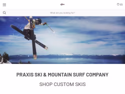 Praxisskis