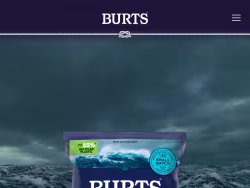 Burtschips