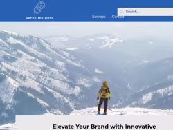 Getverveinsights