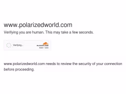 Polarizedworld