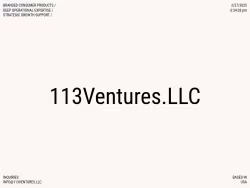113ventures