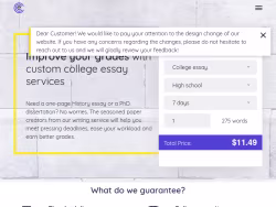 Customcollegeessays