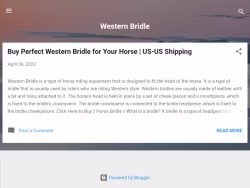 Western-bridles