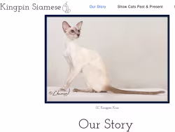Kingpinsiamese