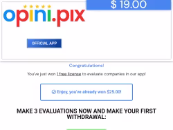 Opini-pix
