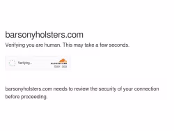 Barsonyholsters