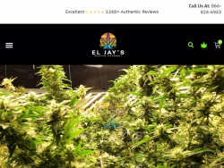 Eljaysflower