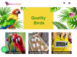Qualitybirdsonline
