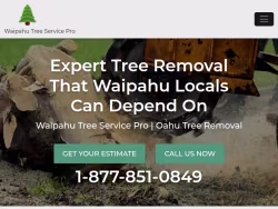 Treeremoval-oahu