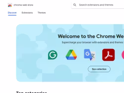 Chromewebstore
