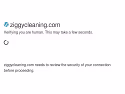 Ziggycleaning