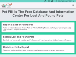 Petfbi