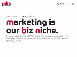 Mybizniche