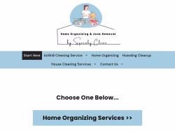 Squeakycleanhouse