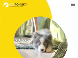 Sopomsky