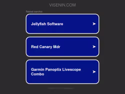 Visenin