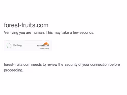 Forest-fruits