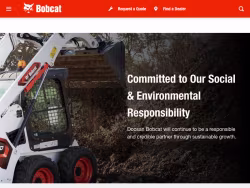 Bobcat