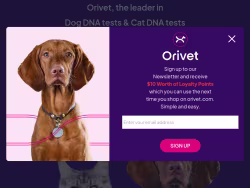 Orivet