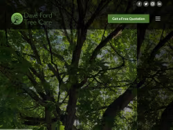 Davefordtreecare