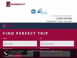 Businessfly