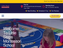 Lsmschool