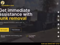 Bumblebeejunk
