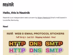Neatnik