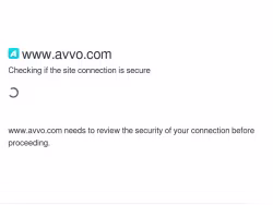 Avvo