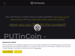Putincoin