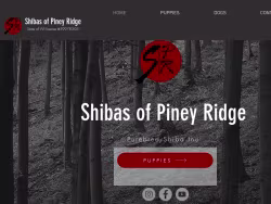 Shibasofpineyridge