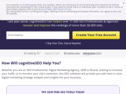 Cognitiveseo