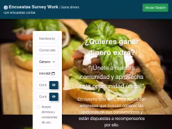 Encuestassurveywork