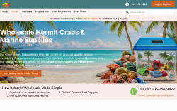 TropicShells