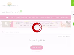 Terrysflorist