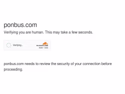 Ponbus