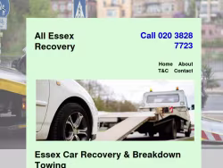 Allessexrecovery