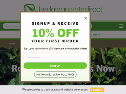 Hedgingplantsdirect