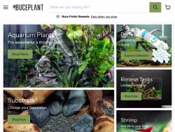 Buceplant
