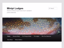 Minipi