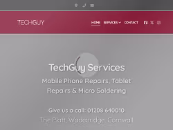 Techguyservices
