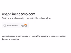 Usaonlineessays
