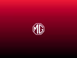 Mg